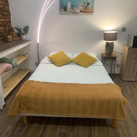 Studio 25M2 En Plein Coeur De ペルピニャン エクステリア 写真