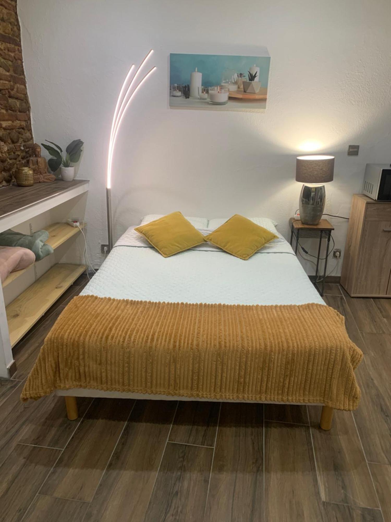 Studio 25M2 En Plein Coeur De ペルピニャン エクステリア 写真